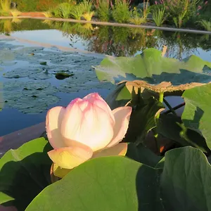 Hébergement de vacances Du Pradel, Saint-Jory